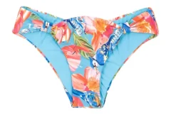 Bottom Zinnia Mel>Rio de Sol Hot